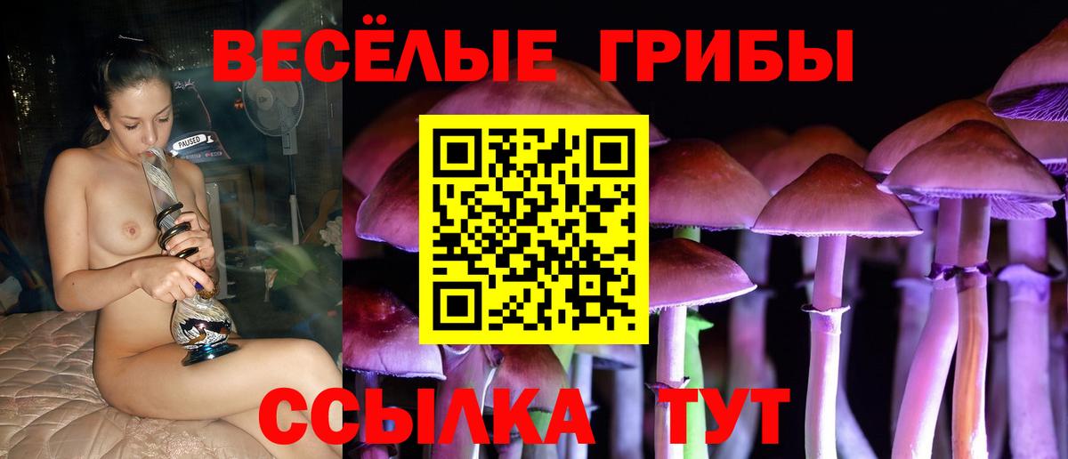 Псилоцибиновые грибы Cubensis Егорьевск